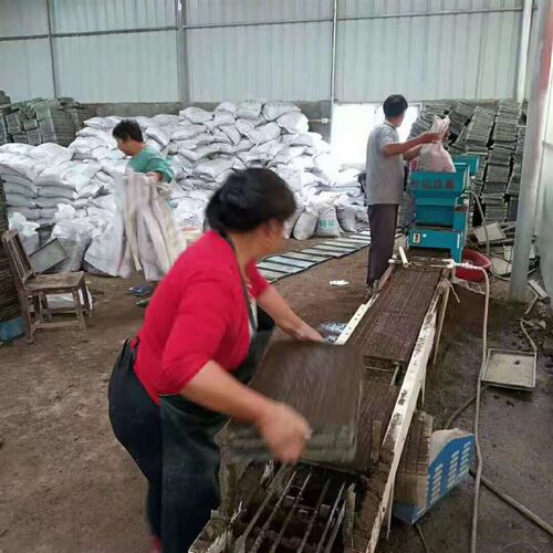 厂家销售5e0L大包装水稻育苗基质家庭农场种植大户机插秧育秧基质