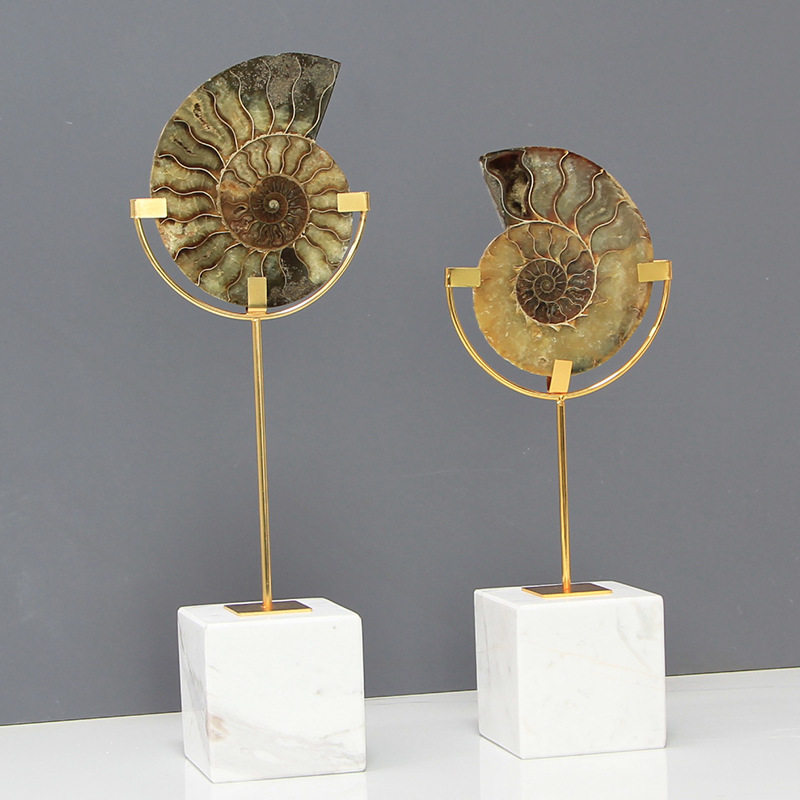 现代美式轻奢创意天然化石工艺品客厅书房书柜酒柜摆件玄关装饰品,家居饰品,桌面摆件,淘宝优惠券,粉丝福利购,淘宝优惠卷