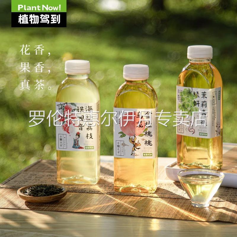 植物驾到果味果汁茶饮料0糖0卡金桂桃桃茉莉青提海盐荔枝茶饮品