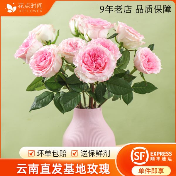 切点玫瑰鲜花花真地生活花插花家用荔枝鲜直发云南粉花束基时间花