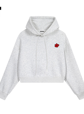 i.t GROUNDZERO国潮牌2025秋季刺绣花浅灰色连帽长袖卫衣上衣