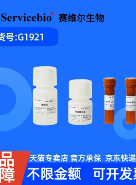 现货 赛维尔生物Servicebio Caspase-3活性检测试剂盒（比色法） G1921 50T 科研实验