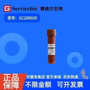 现货 赛维尔生物Servicebio D-荧光素钾盐 115144-35-9 GC208039 100mg ≥95.0% 生化试剂 科研实验