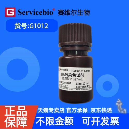 现货 赛维尔生物Servicebio DAPI染色试剂（即用型） G1012 10mL 100mL 科研实验