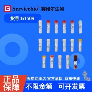 现货 赛维尔生物Servicebio 点击化学法Tunel细胞凋亡检测试剂盒(647荧光) G1509 50T 科研实验