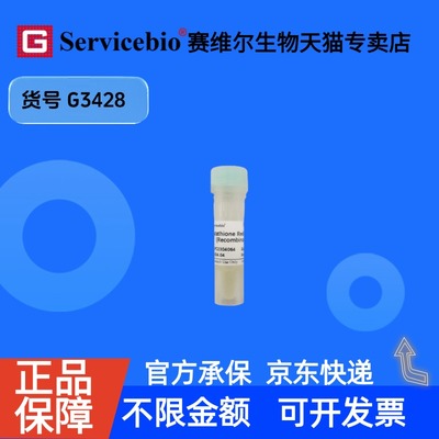 现货 Glutathione Reductase (Recombinant) 500μL G3428 赛维尔生物Servicebio 科研实验 重组蛋白/酶
