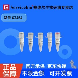 Enzyme 500U 重组蛋白 Vaccinia 酶 科研实验 Capping 赛维尔生物Servicebio 现货 G3454