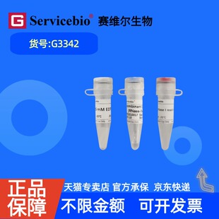 现货 赛维尔生物Servicebio 重组DNase I (无RNase)   G3342 500U 10KU 科研实验