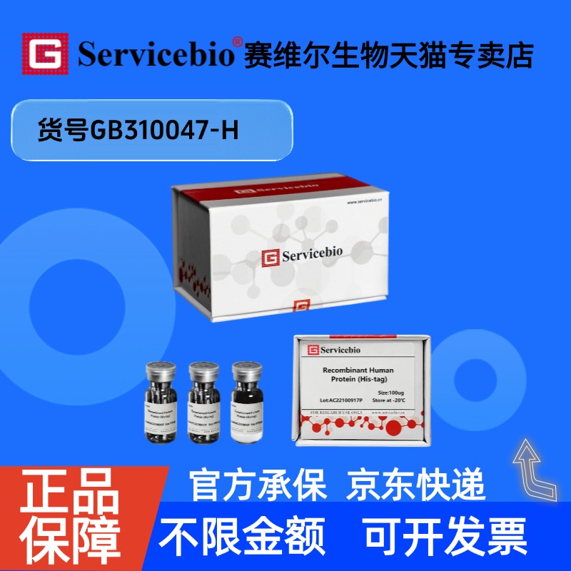 现货 Recombinant Human IGF2 Protein 10ug GB310047-H 赛维尔生物Servicebio 科研实验 细胞因子 生长因子