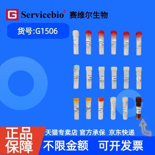 现货 赛维尔生物Servicebio 点击化学法Tunel细胞凋亡检测试剂盒(488荧光) G1506 50T 科研实验