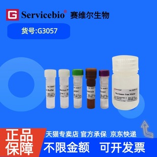 现货 赛维尔生物Servicebio DNase残留检测试剂盒 G3057 100T 科研实验
