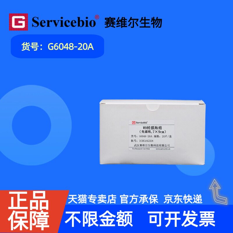 现货 赛维尔生物Servicebio WB转膜海绵（免滤纸，70×90mm） G6048-20A 20片（70*90 mm） 科研实验图片