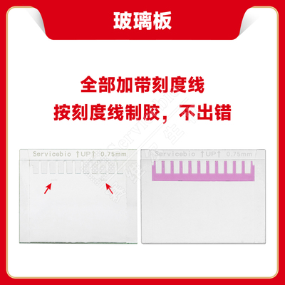 现货 赛维尔生物Servicebio 凹玻璃板（适用于赛维尔款和伯乐，带制胶刻度线） G6052-0.75 0.75mm 科研实验