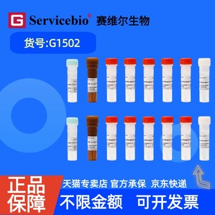 现货 赛维尔生物Servicebio 一步法TUNEL细胞凋亡检测试剂盒(TMR红色荧光) G1502 50T 100T科研实验