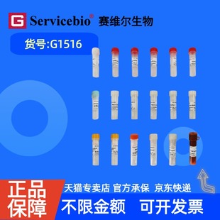 现货 赛维尔生物Servicebio 点击化学法Tunel细胞凋亡检测试剂盒(594荧光) G1516 50T 科研实验