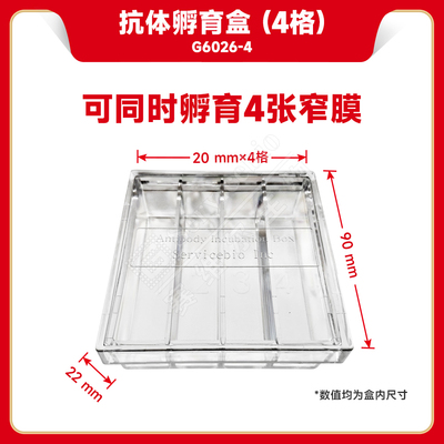现货 赛维尔生物Servicebio 抗体孵育盒（4格） G6026-4 4格 科研实验