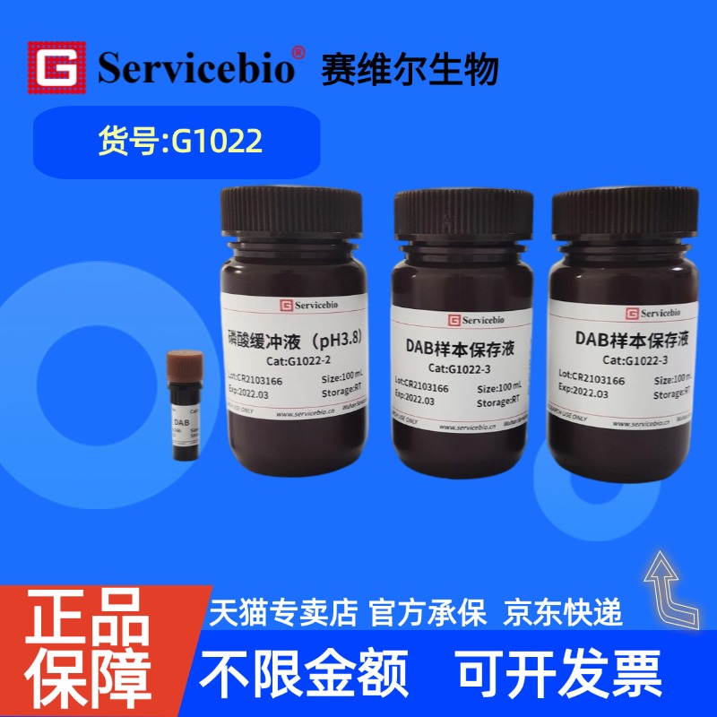 现货 赛维尔生物Servicebio 植物过氧化氢染色液(DAB法)  G1022 100mL×3 科研实验