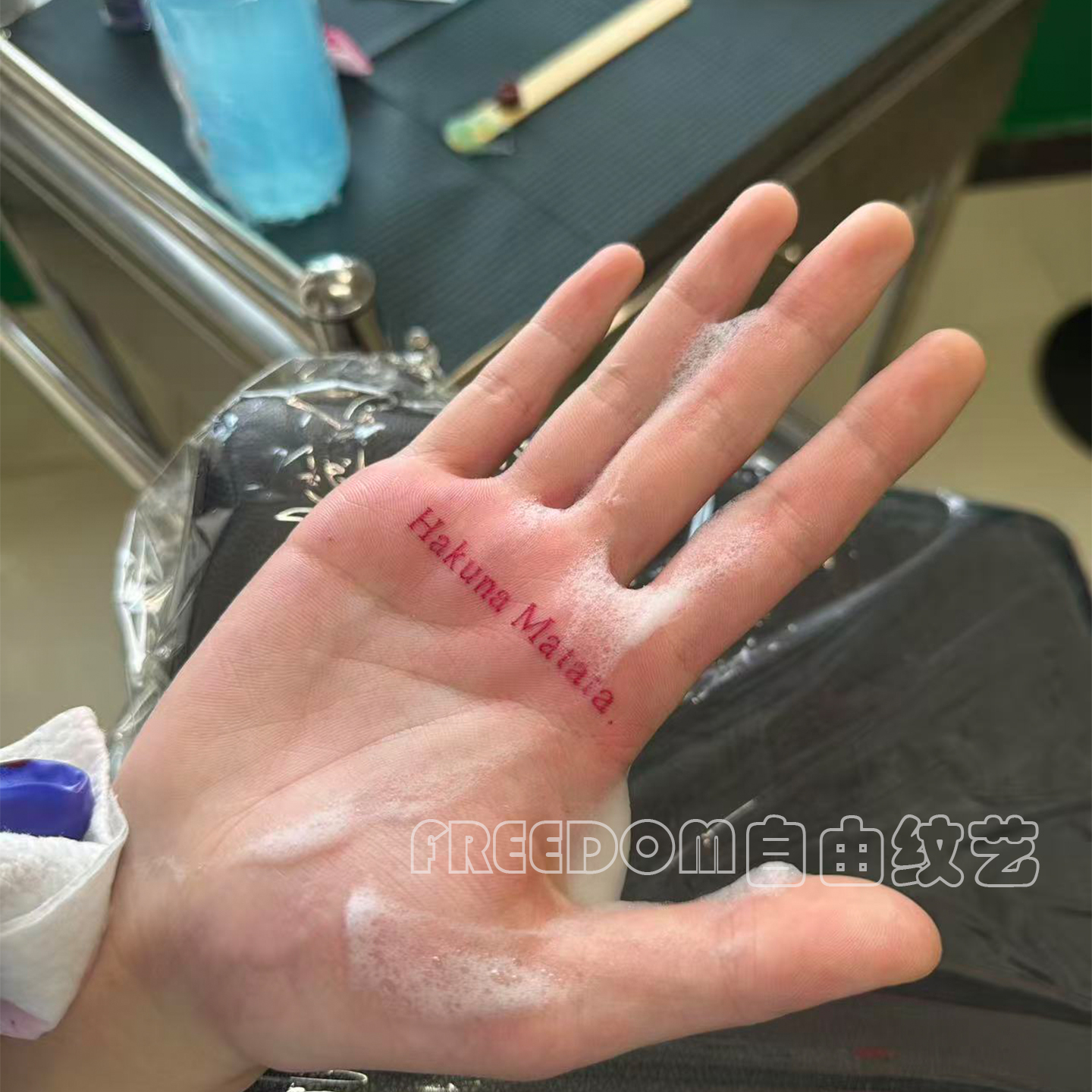 Hakunamatata贴纸防水持久可洗