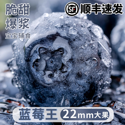 高山秘鲁蓝莓现摘顺丰孕妇高端整箱当季新鲜水果怡颗云蓝梅南进口