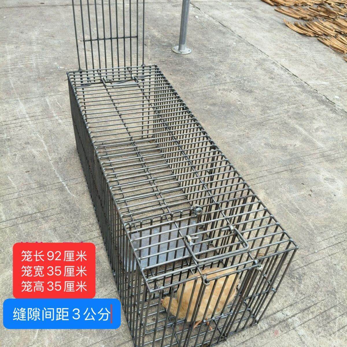 钢筋全自动捕捉笼铁笼狗笼鸡笼鸭笼猫笼关狗笼特大号机关笼