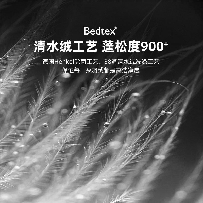 Bedtaex防螨羽绒被95白鹅绒被加厚冬被春秋被酒店单人被子被芯冬,床上用品,羽绒/羽毛被,淘宝优惠券,粉丝福利购,淘宝优惠卷