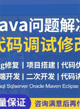 java代码问题解决bug调试修改程序讲解项目运行指导软件后端开发
