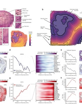 ceRNA调控网络lncRNA miRNA数据库挖掘