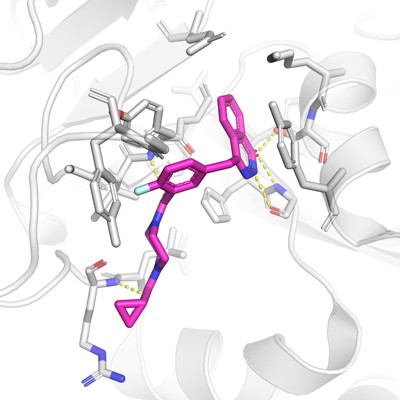 专业分子对接代做 相互作用模式分析 结合自由能计算虚拟筛选