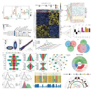 药物敏感性分析 基于基因表达的IC50预测