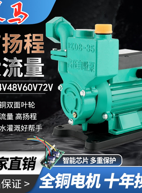 直流全自动增压自吸泵农用12V24V48VG60v72伏电动车浇灌加压抽水