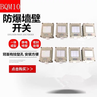 防爆墙壁开关8g6型一开二开三开四开明装暗装防爆照明开关220V10A