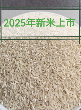 2025年新米胚芽籼米张老师推荐的不抛光长江中下游地区一年种一季
