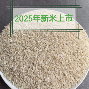 2025年新米胚芽籼米张老师推荐的不抛光长江中下游地区一年种一季