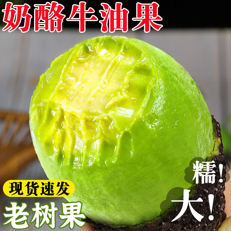 云南哈斯牛油果应当季孕妇新鲜水果整箱特大果孟连即食鳄梨代餐