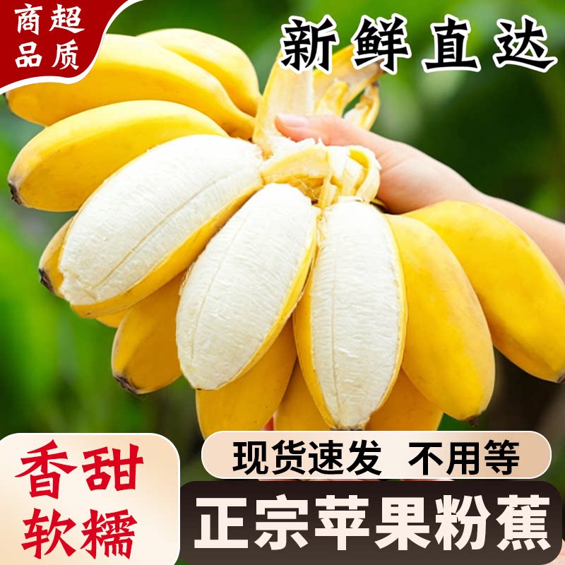 正宗广西苹果蕉香甜大香蕉现摘现香蕉