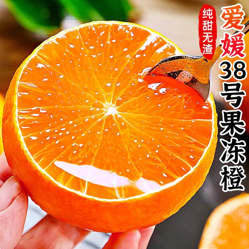 四川爱媛38号果冻橙手剥橙子