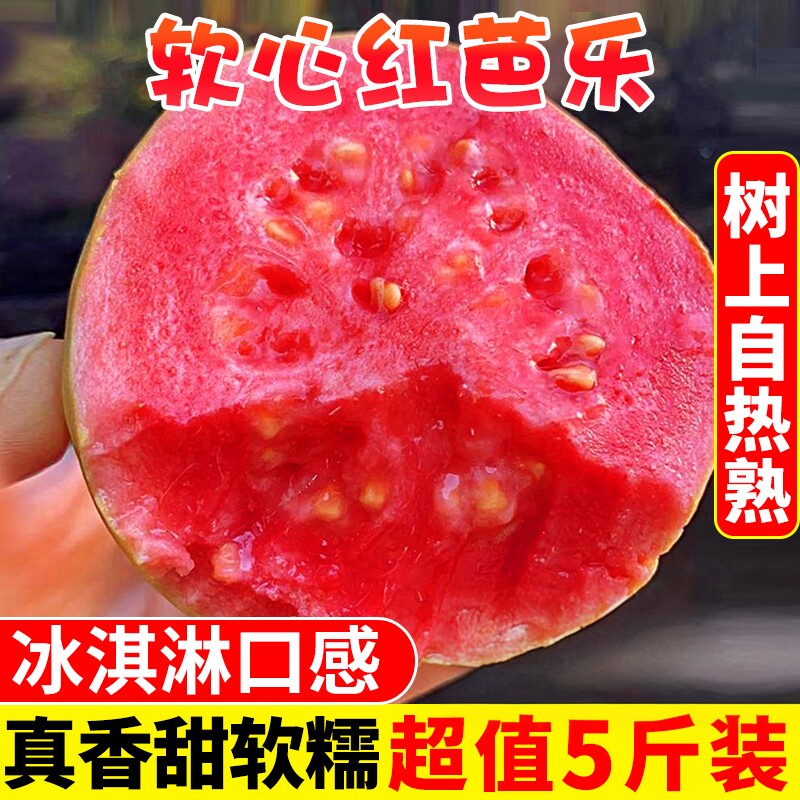 顺丰包邮漳红心软芭乐冰淇淋口感5斤胭脂红番石榴新鲜水果包邮