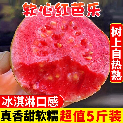 冰淇淋红心软芭乐红番石榴5斤