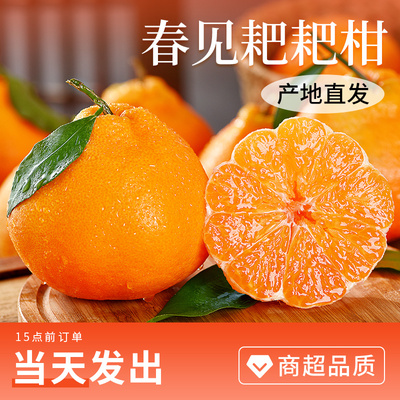 正宗四川春见耙耙柑当季橘子甜粑粑柑整箱新鲜水果丑柑桔10斤包邮