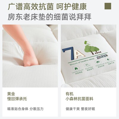 水洗棉大豆纤维床褥床垫软垫家用学生宿舍租房通用单垫被防滑褥子