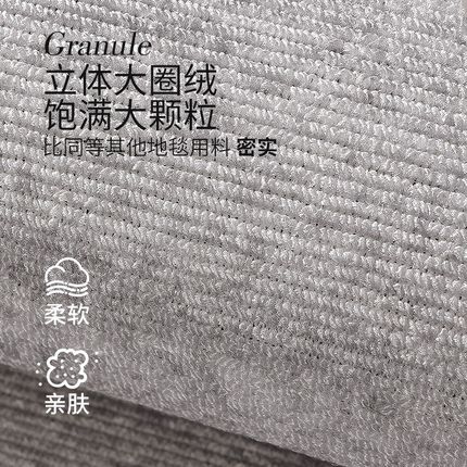 地毯客厅2024新款轻奢高级感免洗可擦地垫家用简约加厚卧室床边毯