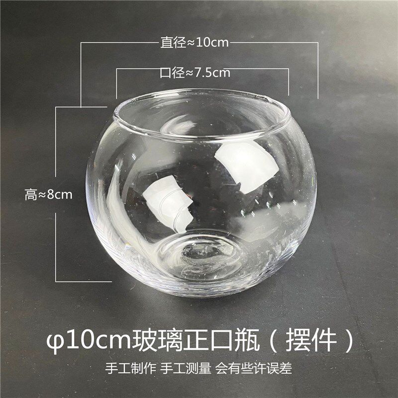 新品新款微景观苔藓生态瓶 玻璃鱼缸创意金鱼缸 圆形斜口多肉植物