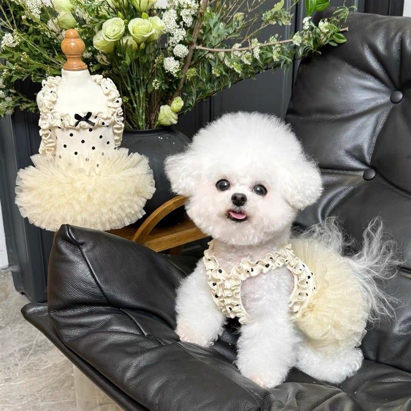 薄款透气宠物衣服碎花飞袖公主裙小狗狗猫咪夏日薄款防晒裙子可爱,宠物/宠物食品及用品,狗宠物服装/雨衣,淘宝优惠券,粉丝福利购,淘宝优惠卷