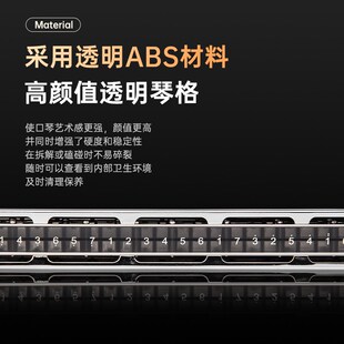 东方鼎24孔复音口琴学生C调成人练习初学者口琴演奏专业T2403S2.0