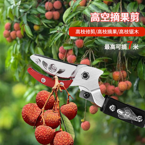 摘果神器高空摘果修树枝高枝剪刀采摘枇杷龙眼桂皮杨梅荔枝伸缩杆