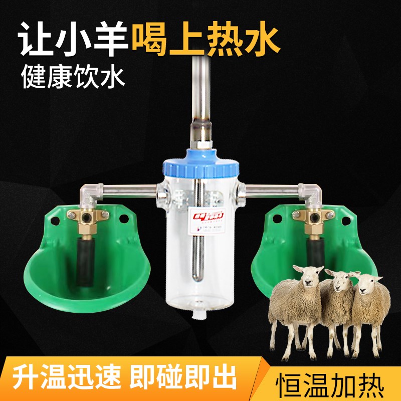 羊用饮水碗恒温加热饮水器不锈钢铜阀门自动加热冬季饮水器饮水槽