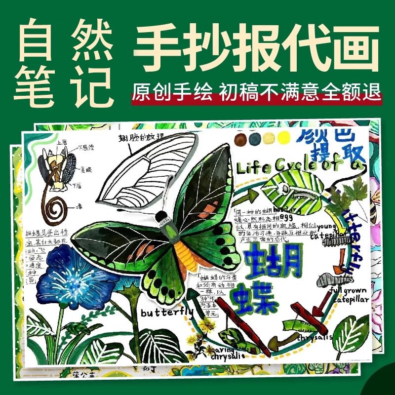 昆虫记备忘录手抄报代画立体自然笔记主题画阅读卡小报手绘画作品