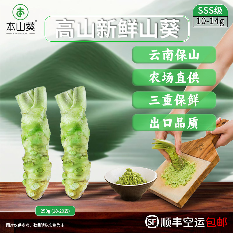 正宗云南保山新鲜山葵出口日本商用SSS级0添加配寿司日料海鲜刺身