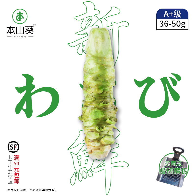 正宗云南保山新鲜山葵日本进口品质A+级 配寿司日料海鲜刺身烤肉