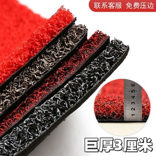 30mm巨厚进门入户地垫家用客厅入门门厅防水脚垫门口丝圈塑料地毯